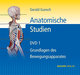 Anatomische Studien