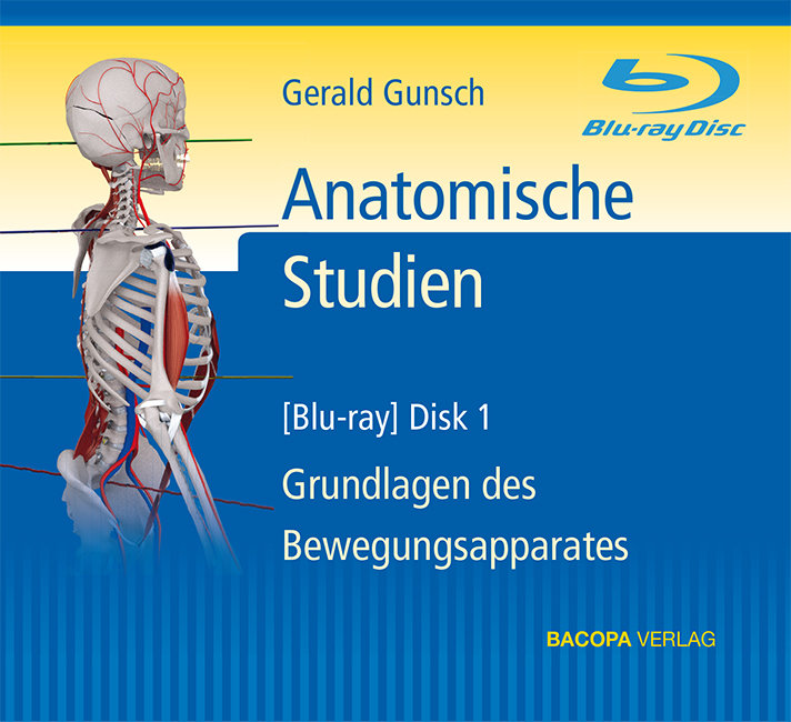 Anatomische Studien